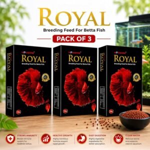 Royal Betta Food (Pack of 3)